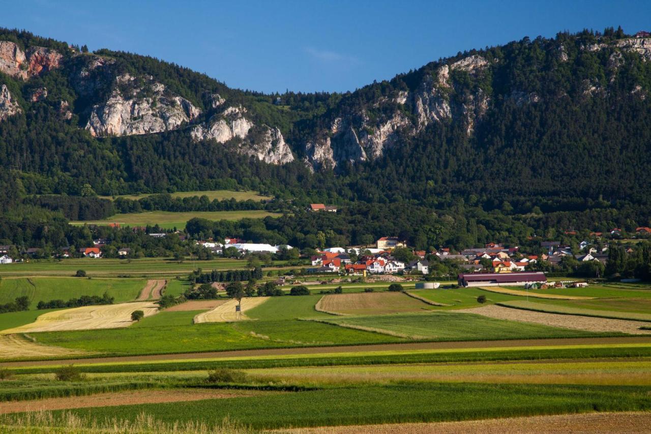 Farmhouse - Hohe Wand Hotel Stollhof Eksteriør billede